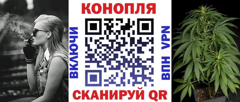 KRAKEN зеркало  Дмитриев  Бошки Шишки SATIVA & INDICA  где купить наркоту 